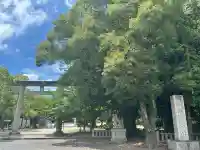 讃岐宮 香川縣護國神社の鳥居