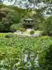 勧修寺の{uncategorized: "未分類", other: "その他", undefined: "問題あり", building: "その他建物", grave: "お墓", sacred_gate: "鳥居", guardian: "狛犬", statue: "像", buddha: "仏像", history: "歴史", nature: "自然", garden: "庭園", animal: "動物", pagoda: "塔", temizu: "手水舎", mountain_gate: "山門・神門", sanctuary: "本殿・本堂", subordinate: "末社・摂社", art: "芸術", scenery: "景色", jizo: "地蔵", ema: "絵馬", goshuin: "御朱印", omikuji: "おみくじ", items: "授与品その他", amulet: "お守り", goshuincho: "御朱印帳", eats: "食事", festival: "お祭り", votive_dance: "神楽", shichigosan: "七五三参", wedding: "結婚式", experience: "体験その他", initially: "初詣", around: "周辺", anti_infection: "感染症対策"}