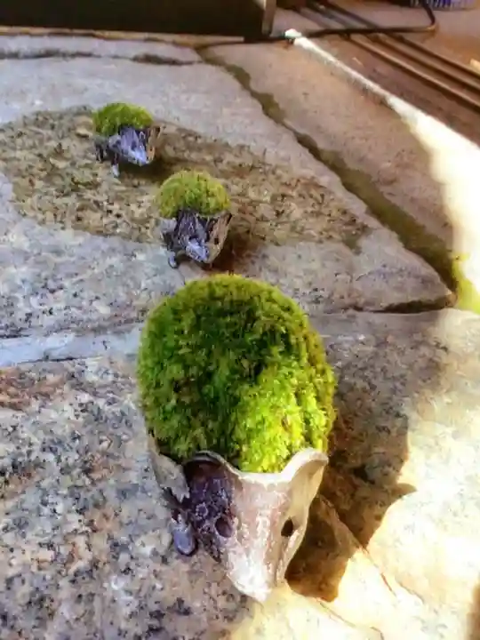 陽運寺(東京都)