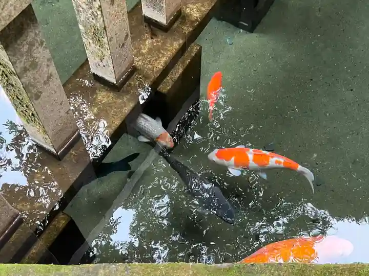 鹿島神宮(茨城県)