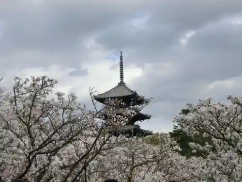 仁和寺のその他建物