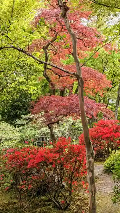 華厳寺(鈴虫寺)(京都府)