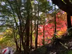 普門寺(切り絵御朱印発祥の寺)の自然