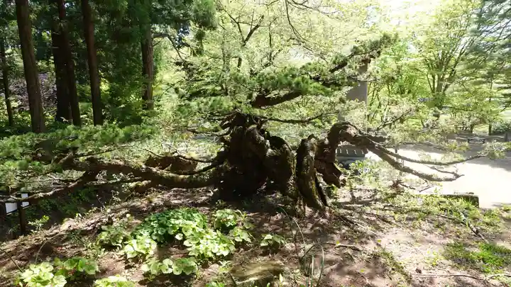 土津神社|こどもと出世の神さま(福島県)