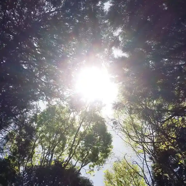 沼尾神社の自然