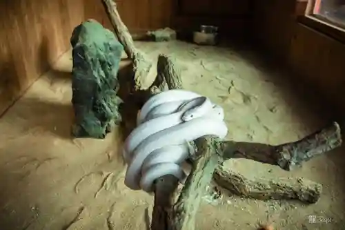 赤水蛇石神社(熊本県)