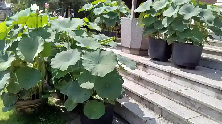 龍泉寺(足利厄除大師)(栃木県)