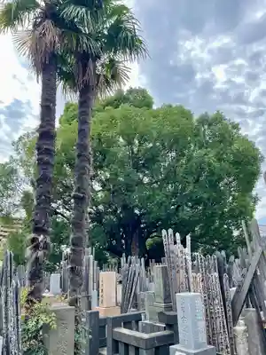 妙雲寺(東京都)