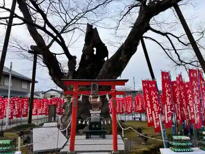 秩父今宮神社(埼玉県)