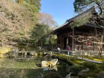 蓮華寺（洛北蓮華寺）の庭園