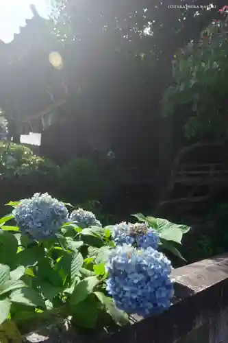 白山神社の自然