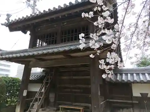 真正極楽寺（真如堂）(京都府)