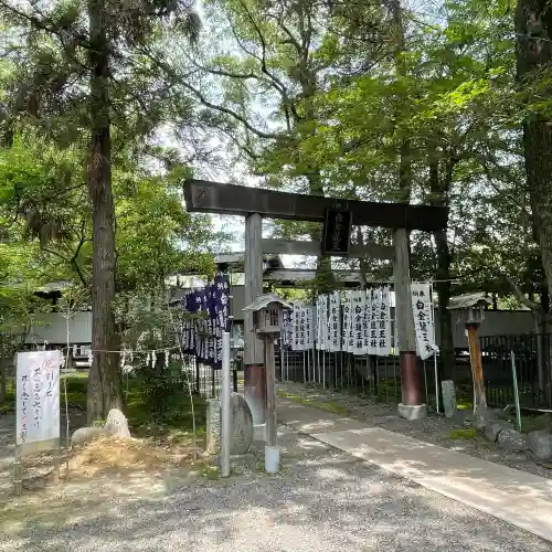 白金龍王社(愛知県)