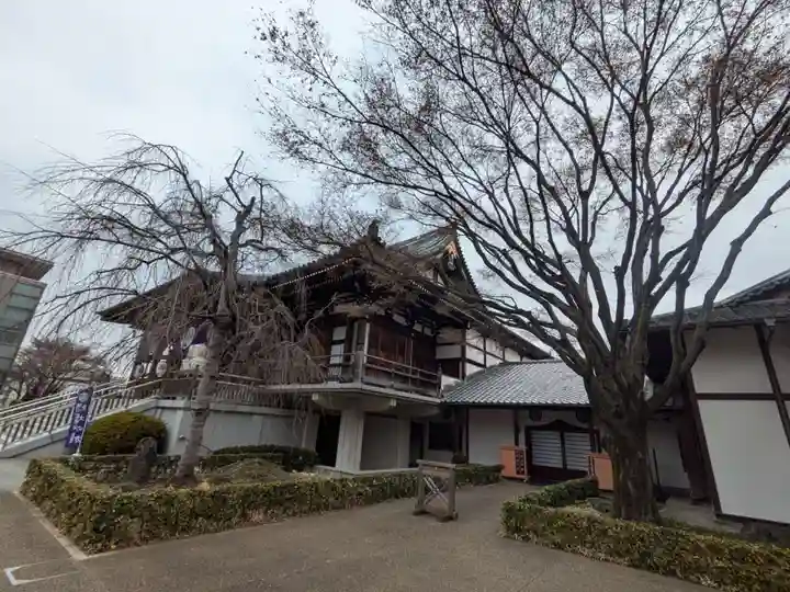 伝通院(東京都)