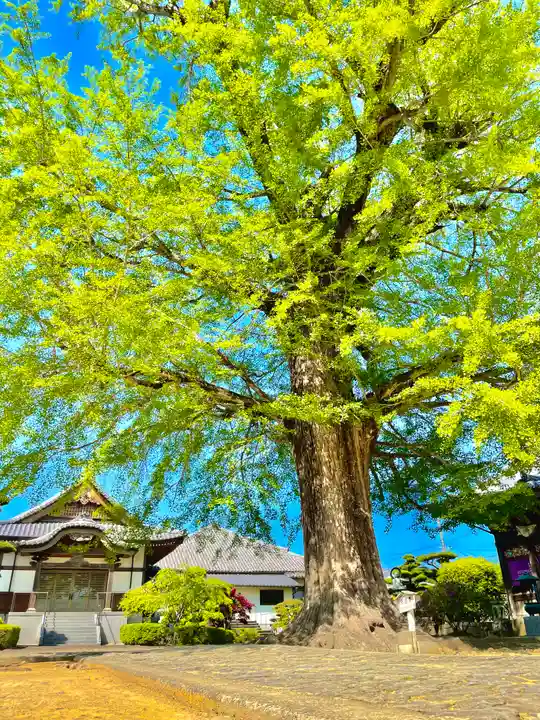 地蔵寺(徳島県)