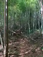 熊野神社(千葉県)