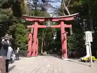 彌彦神社(新潟県)