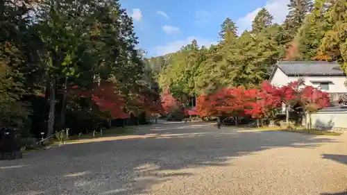 神護寺(京都府)