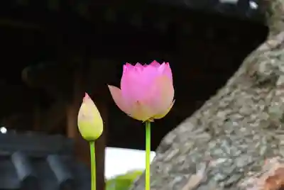法源寺(山梨県)