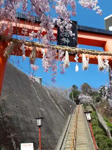 愛宕神社の鳥居