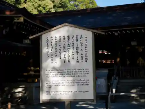 明治神宮(東京都)