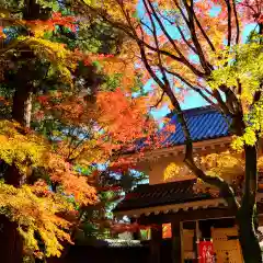 目の霊山　油山寺(静岡県)