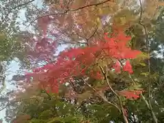 神峯山寺(大阪府)