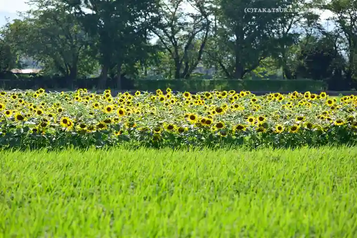 天照皇大神宮(神奈川県)