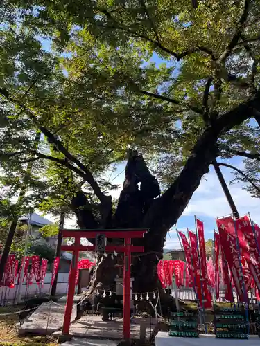 秩父今宮神社(埼玉県)