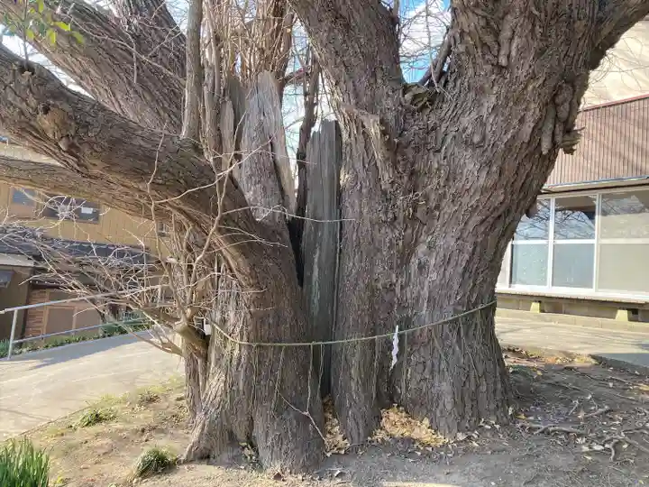 蛟蝄神社門の宮(茨城県)