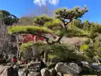 伊勢の国 四天王寺の自然