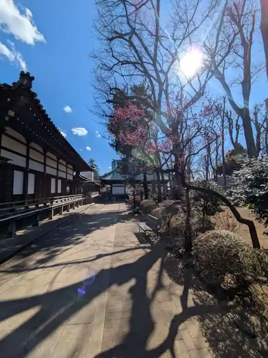 妙法寺(東京都)