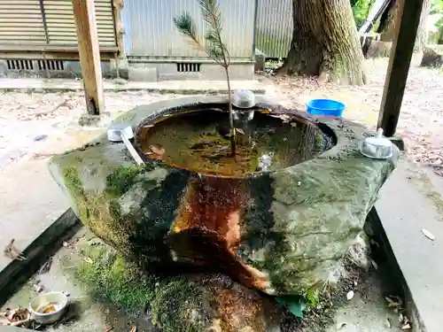 一宮神社の手水