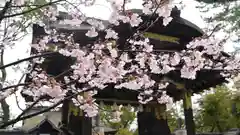 豊国神社の建物その他