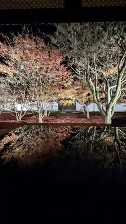 妙覺寺(妙覚寺)(京都府)