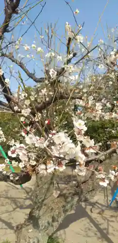 上里菅原神社の庭園