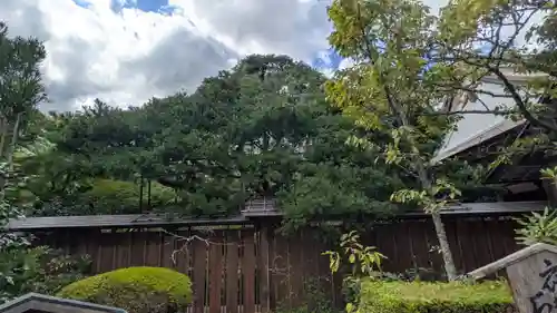 宝泉院(京都府)