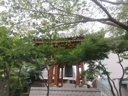 伝通院(東京都)