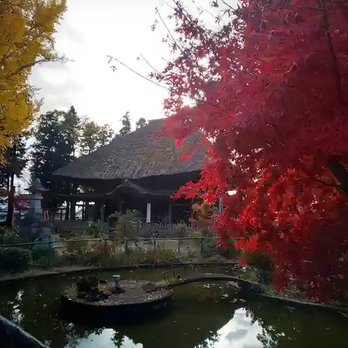 佐竹寺の本殿・本堂
