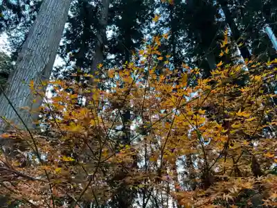 大宮温泉神社(栃木県)