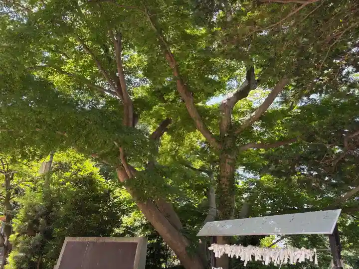 若宮八幡宮の{uncategorized: "未分類", other: "その他", undefined: "問題あり", building: "その他建物", grave: "お墓", sacred_gate: "鳥居", guardian: "狛犬", statue: "像", buddha: "仏像", history: "歴史", nature: "自然", garden: "庭園", animal: "動物", pagoda: "塔", temizu: "手水舎", mountain_gate: "山門・神門", sanctuary: "本殿・本堂", subordinate: "末社・摂社", art: "芸術", scenery: "景色", jizo: "地蔵", ema: "絵馬", goshuin: "御朱印", omikuji: "おみくじ", items: "授与品その他", amulet: "お守り", goshuincho: "御朱印帳", eats: "食事", festival: "お祭り", votive_dance: "神楽", shichigosan: "七五三参", wedding: "結婚式", experience: "体験その他", initially: "初詣", around: "周辺", anti_infection: "感染症対策"}