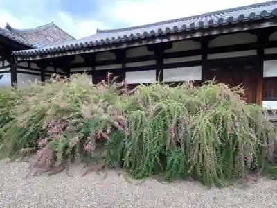 元興寺の本殿・本堂