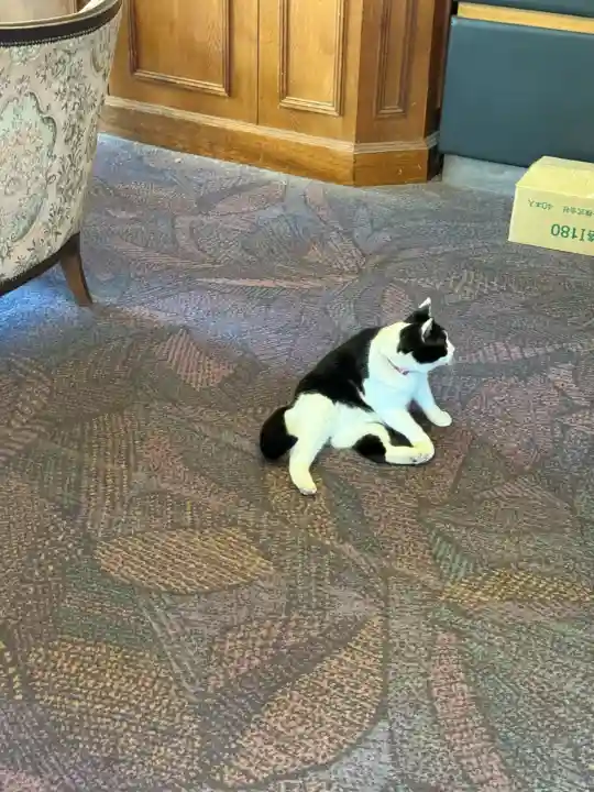 榛名神社(群馬県)