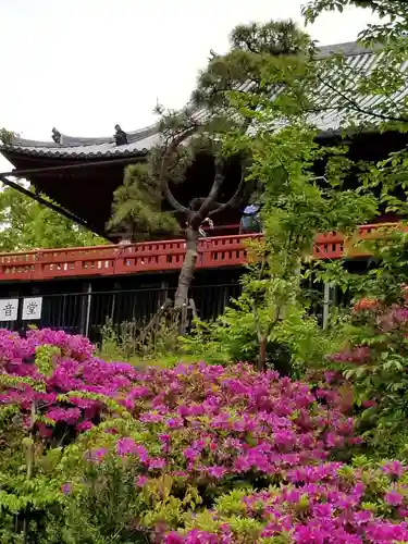 清水観音堂の庭園