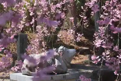 豊景神社の狛犬