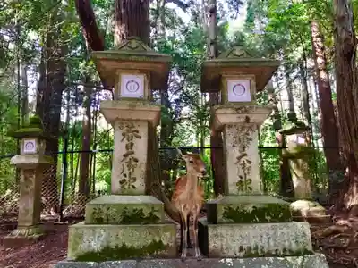 夫婦大國社（春日大社末社）のその他建物