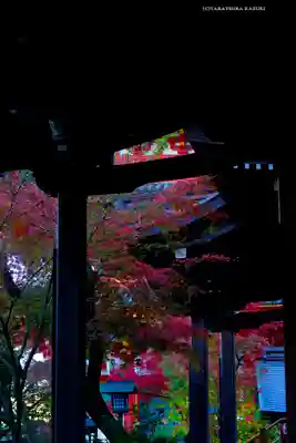 高幡不動尊　金剛寺(東京都)