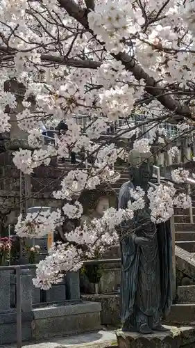くろ谷 金戒光明寺(京都府)