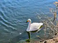 常陸二ノ宮 静神社(茨城県)