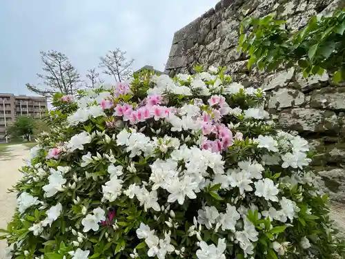 三蔵稲荷神社(広島県)